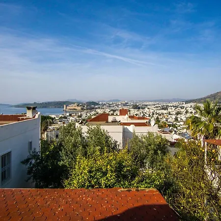 Villa With Private Pool And Lovely View In Bodrum